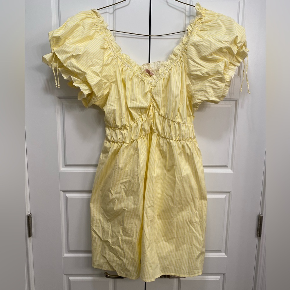 Show Me Your Mumu Leigh Mini Dress 2x